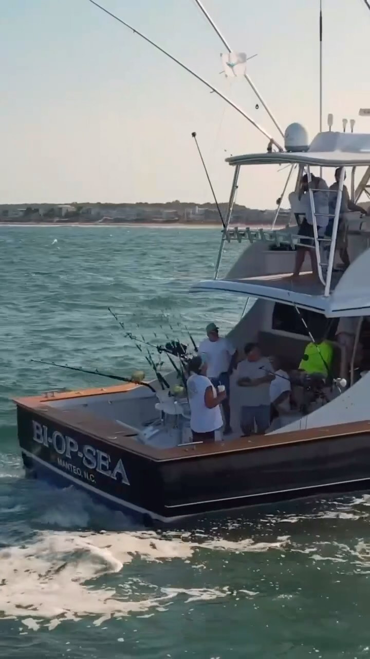 Virginia Beach Billfish Tournament | Virginia Beach VA
