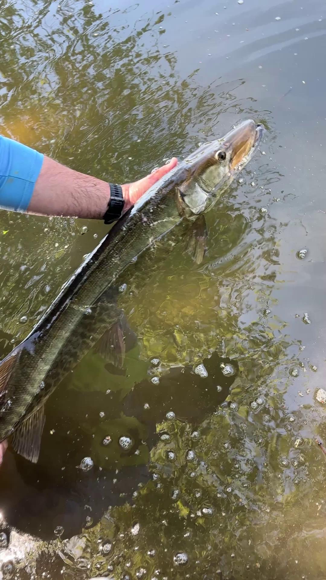 best fishing poles amazon.com Amazon Sellers: Best Rod & Reel Combos Key West Color:Firetiger Muskie Vintage Lot Fishing Reels