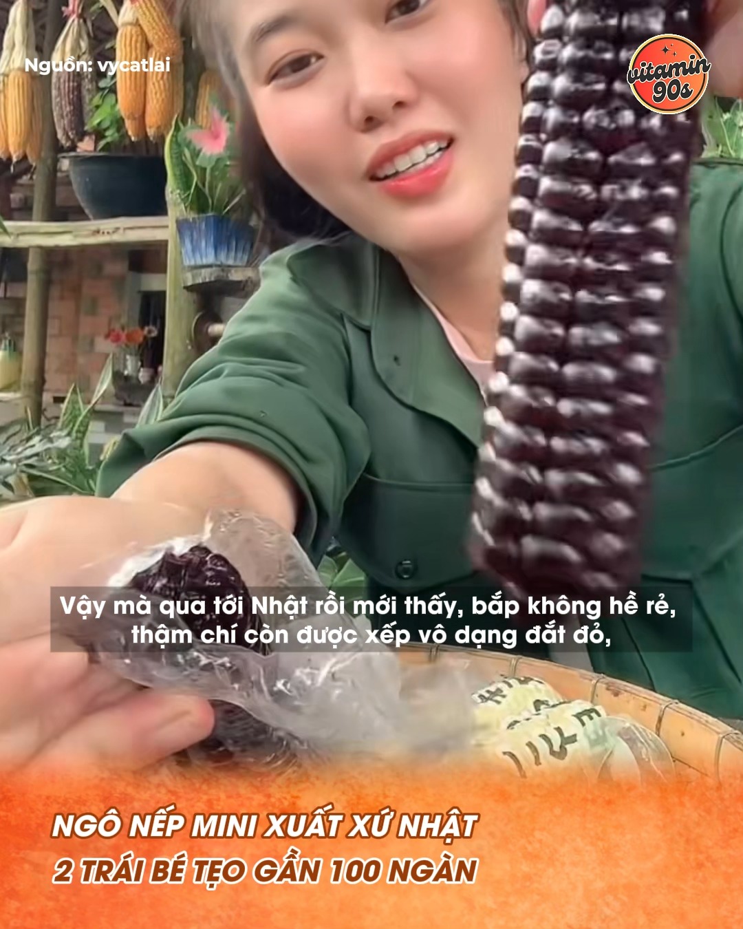 Ngô nếp mini xuất xứ Nhật 2 trái bé tẹo gần 100 ngàn, netizen xem mà ...