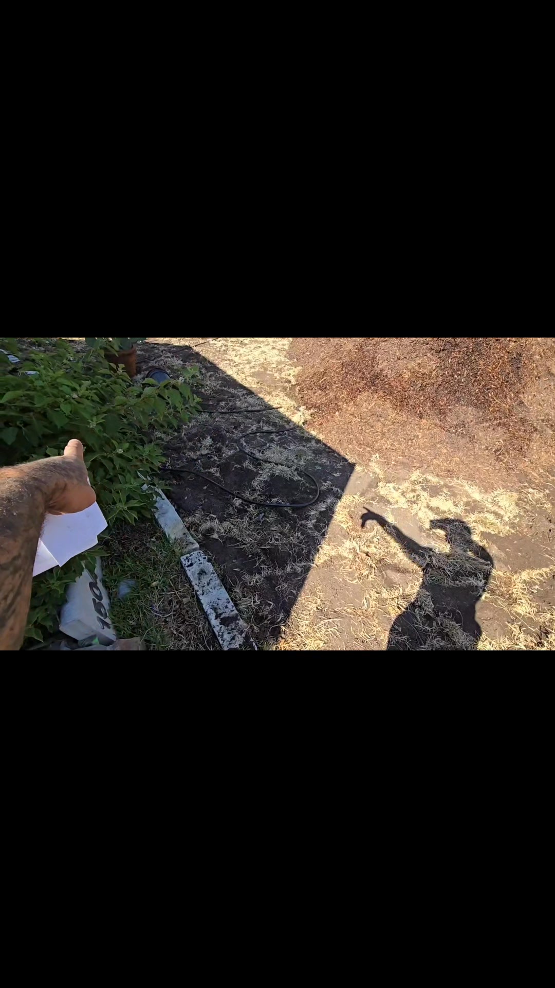 Lawn Kill & Native Plant Install in Roundrock, Texas | Crime Pays But ...