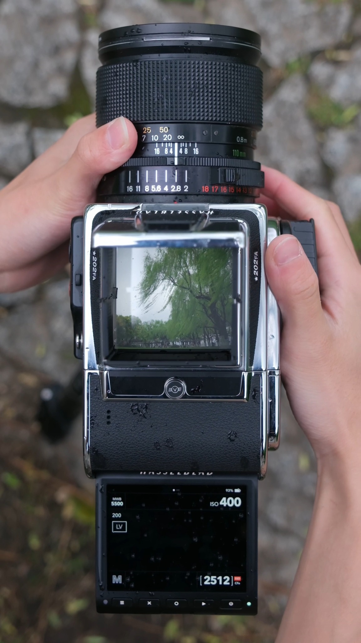 The Hasselblad CFV-50c digital back made it possible for wedding