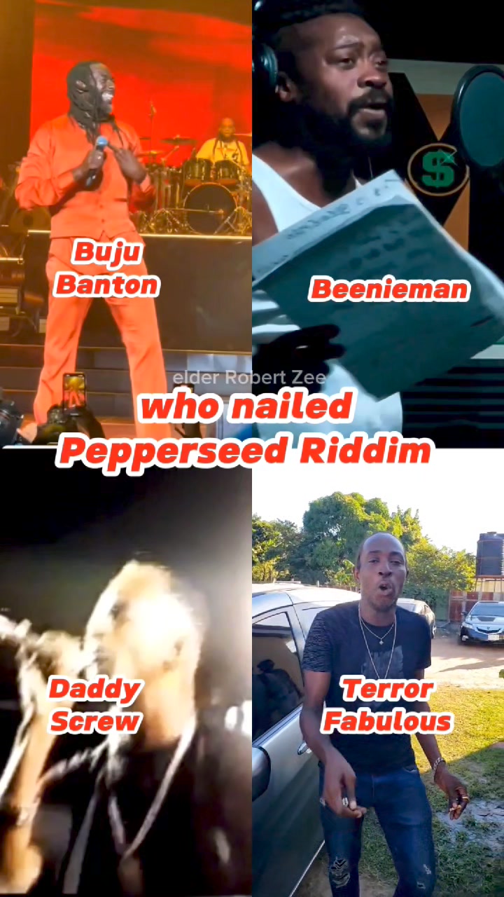 レコード Pepper Seed Riddim 18枚セット Mad House レコード