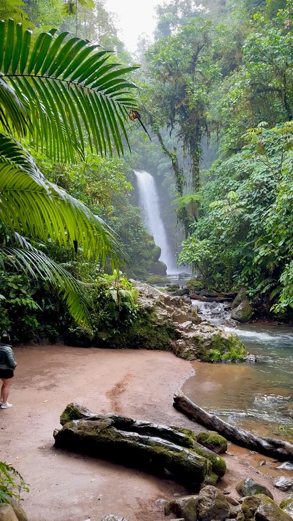 The Costa Rica News - TCRN on Reels