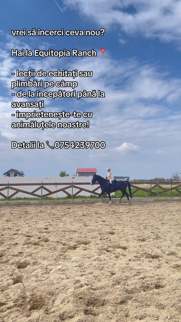 Equitopia Ranch | Bragadiru