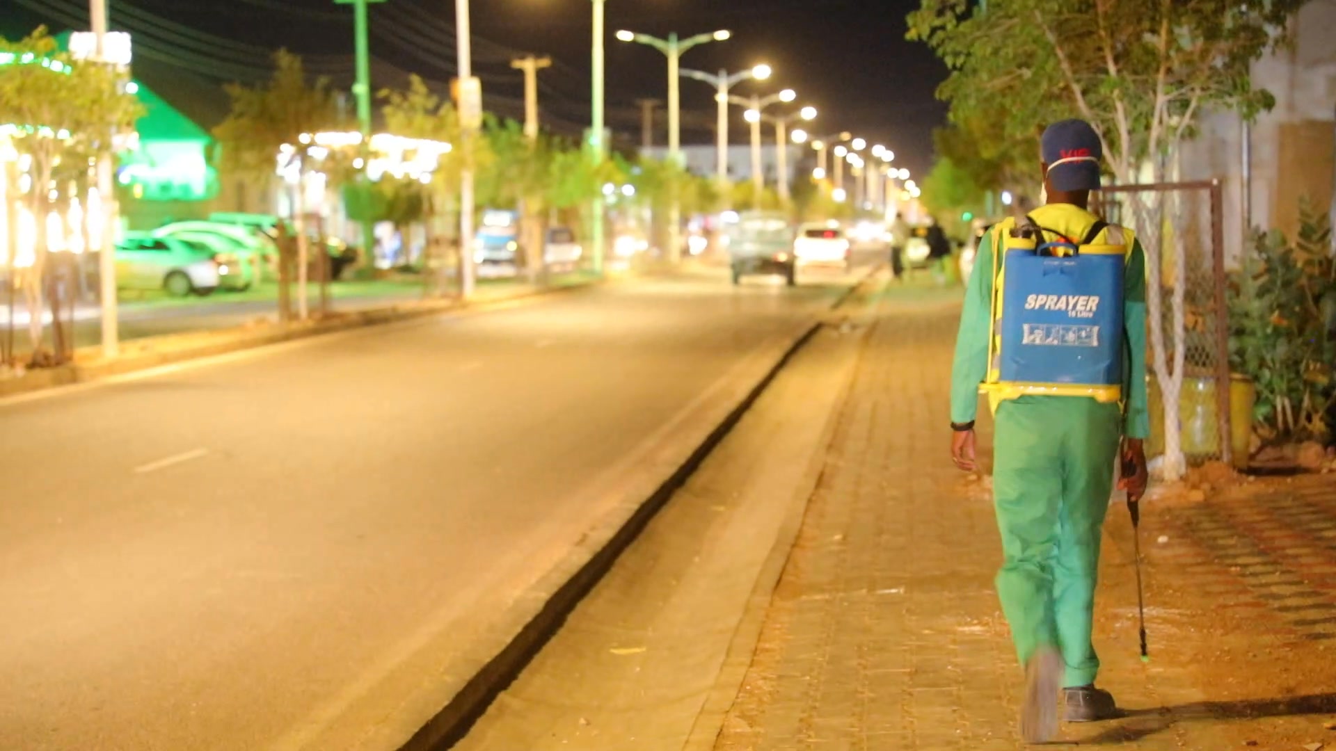 Garoowe: 26 August 2025: Dowladda hoose ayaa caawa ka shaqeeyay dhirta ...