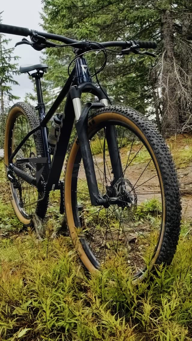 giant gold coast bicycle Premium Road Bike Rental - Winspace Integrated rack mounts Compatible with rear racks Giant Sunshine Coast