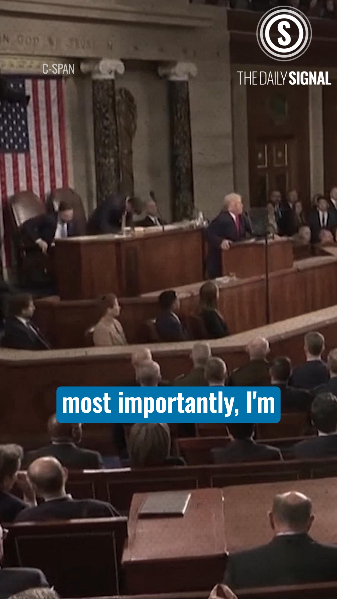 The Save America Act Stalls in Senate While ‘Doggi Gras’ Fetches ...