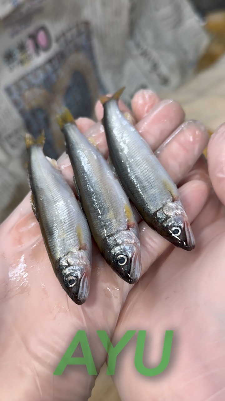 fresh bait lures (@fresh.bait.lures) • Facebook