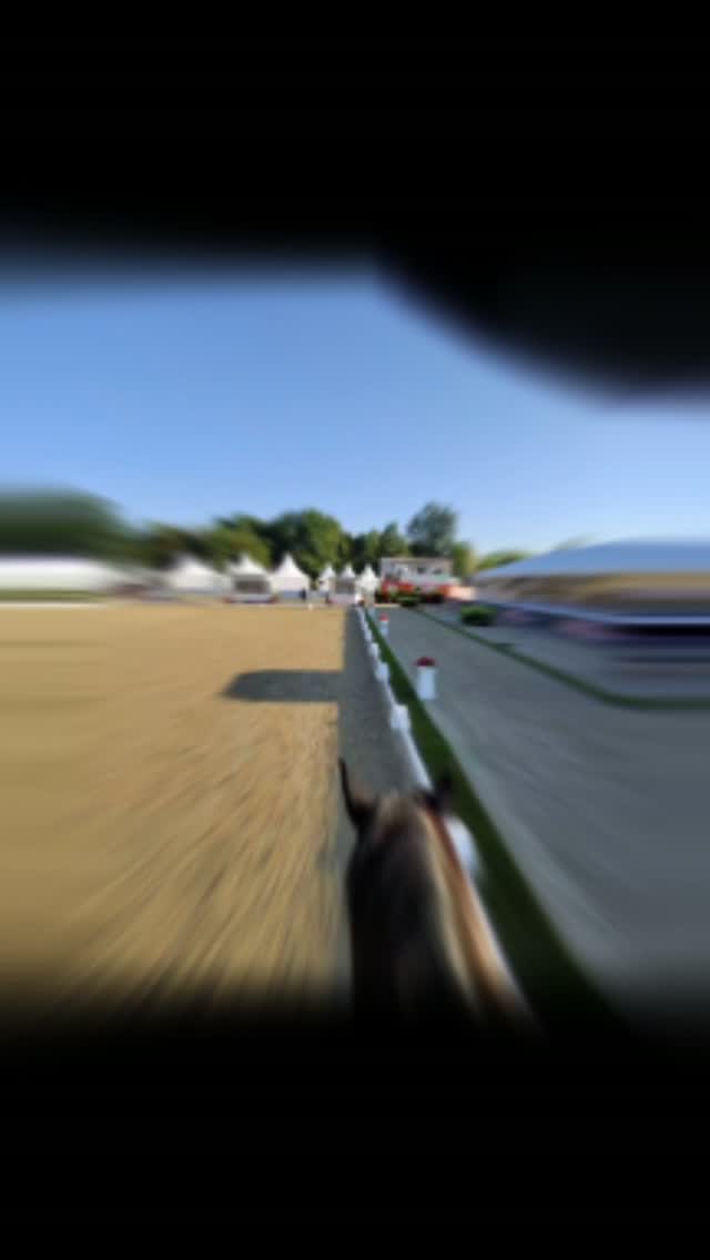 Sir Platinum and Karine Pylypenko World Breeding Dressage
