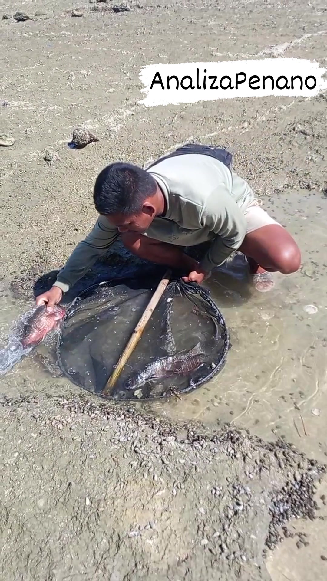The fish were trapped in the pond amazing 😳😱😱😱 #fishing #fblifestyles # ...
