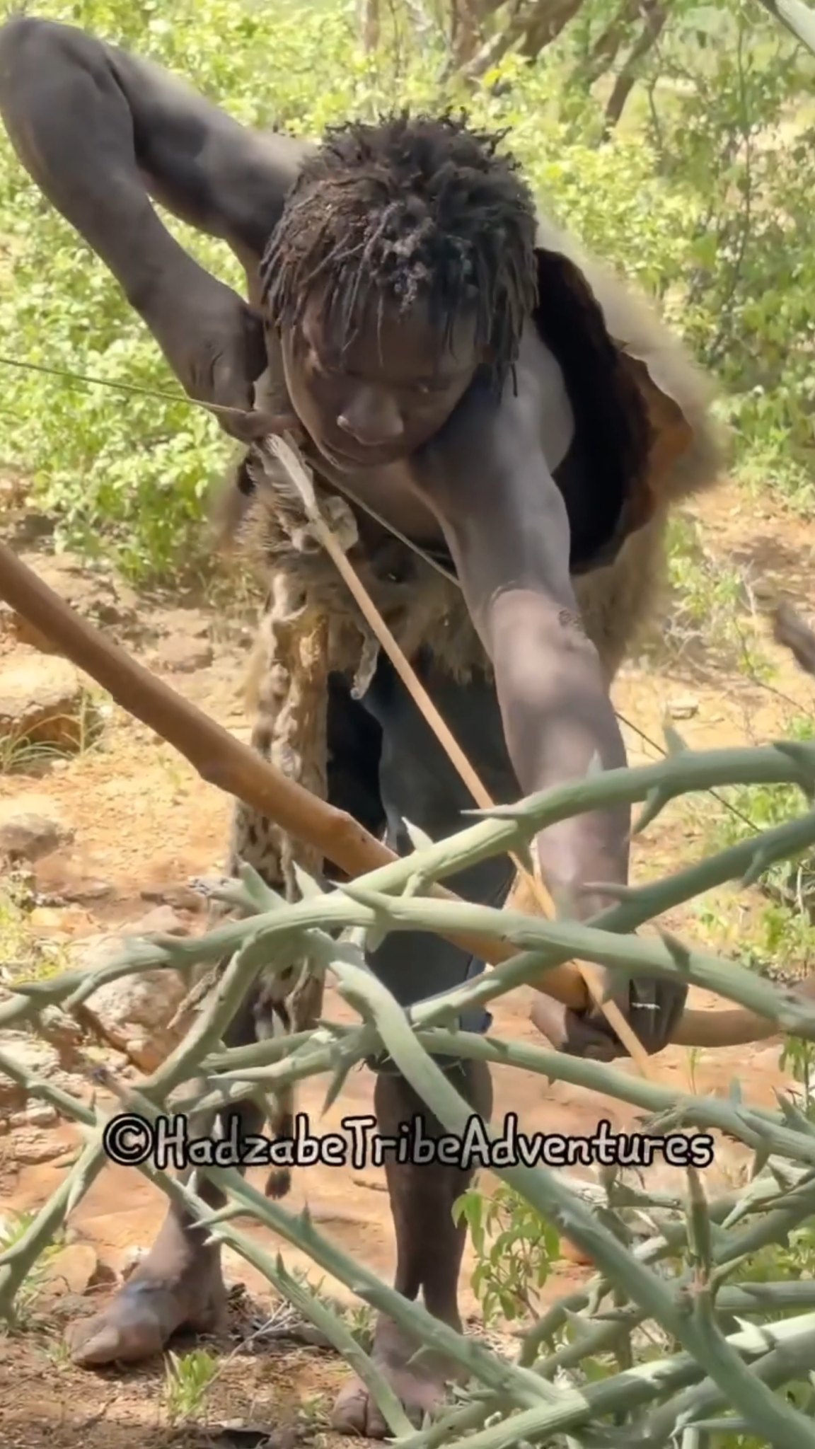 Hadzabe Tribe talented bushmen love their traditional bush music, they ...