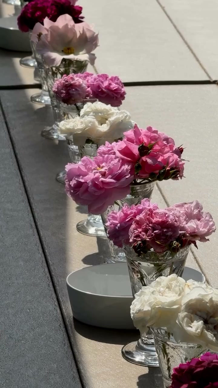 We asked Martha's Super Fans—and they delivered.Catch a glimpse of