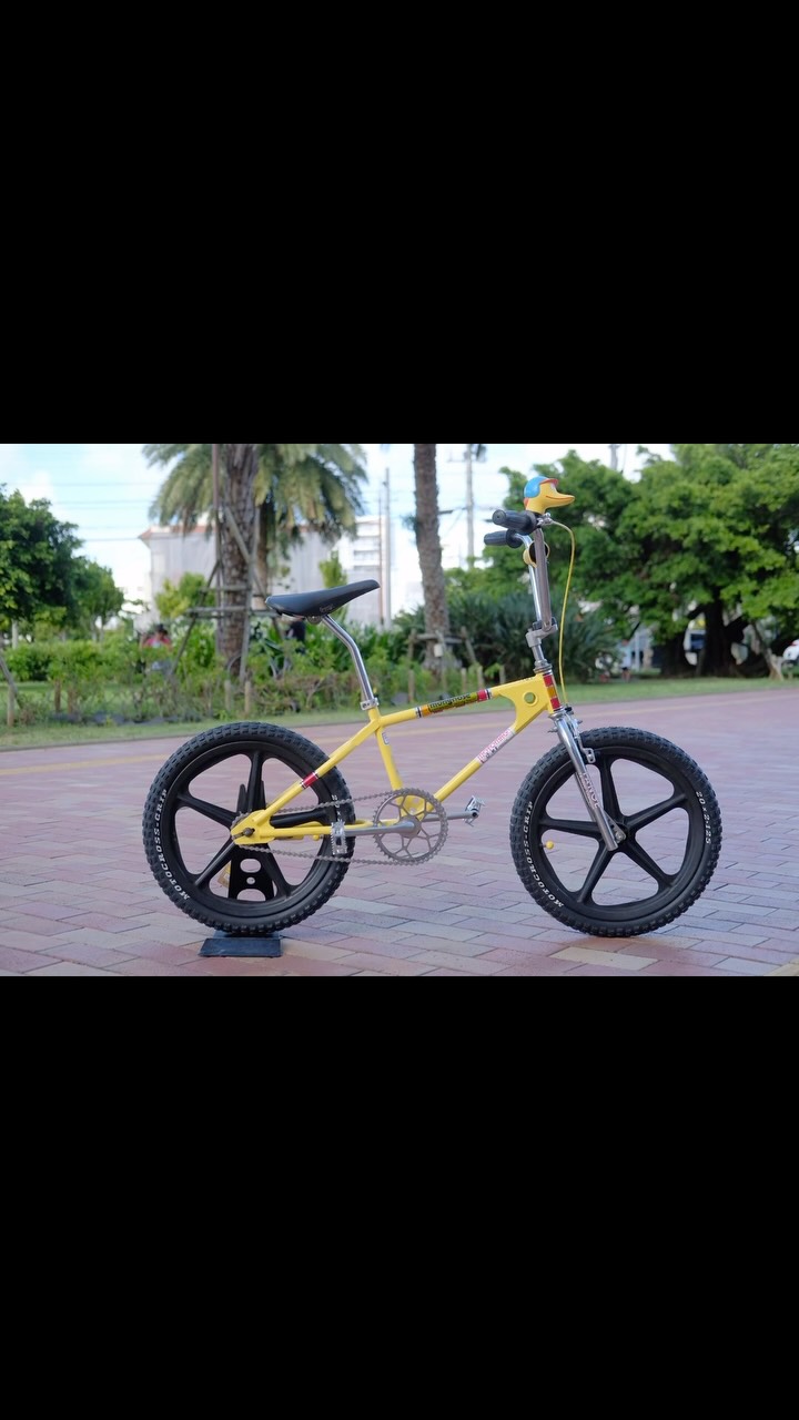 Araya ADX-240 cf ✖︎ Suntour superbe pro hub ✖︎ S bend Hoshi
