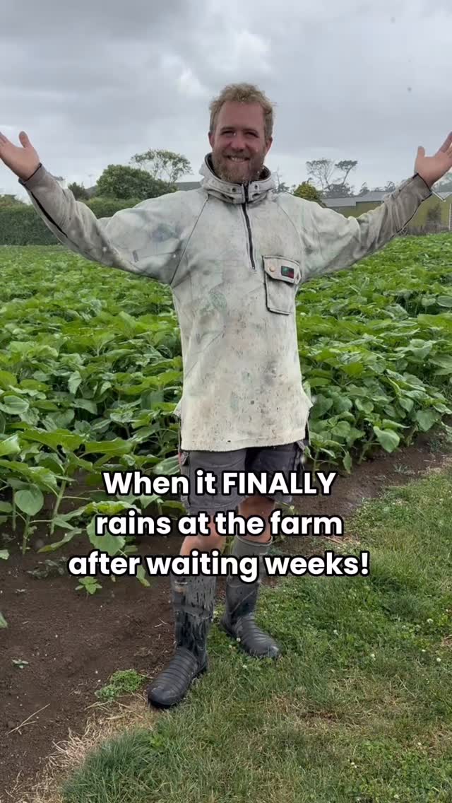 That feeling when it FINALLY rains… 😮‍💨 The farm breathes a sigh of ...