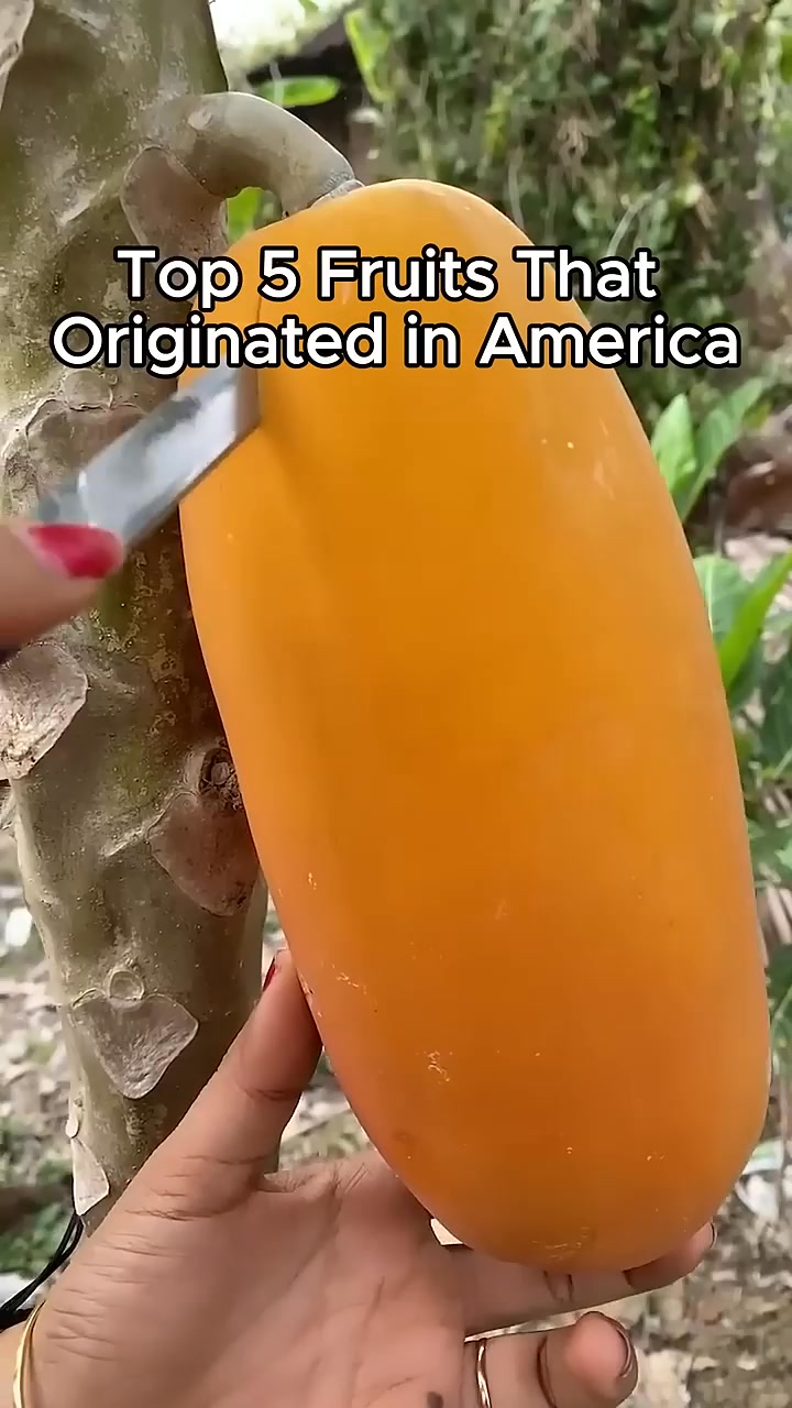 Top 5 Fruits That Originated in America #hashtagfbreelsvideo #shorts # ...