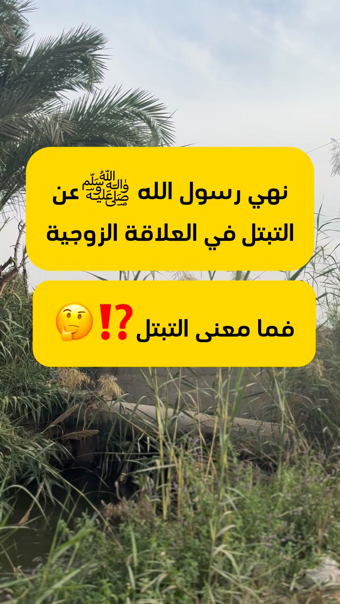 فما معنى التبتل⁉️🤔 #فكره | غرائب و عجائب العالم | Facebook