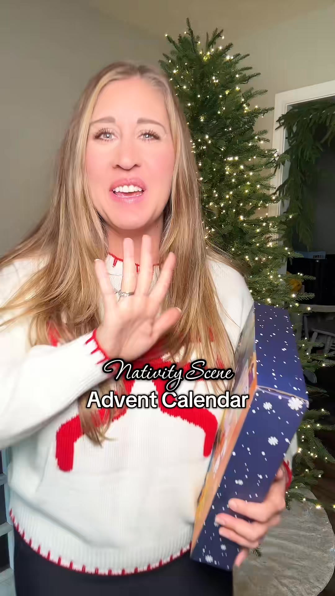 🎄 Build the story of Christmas, one day at a time. Create a cherished ...