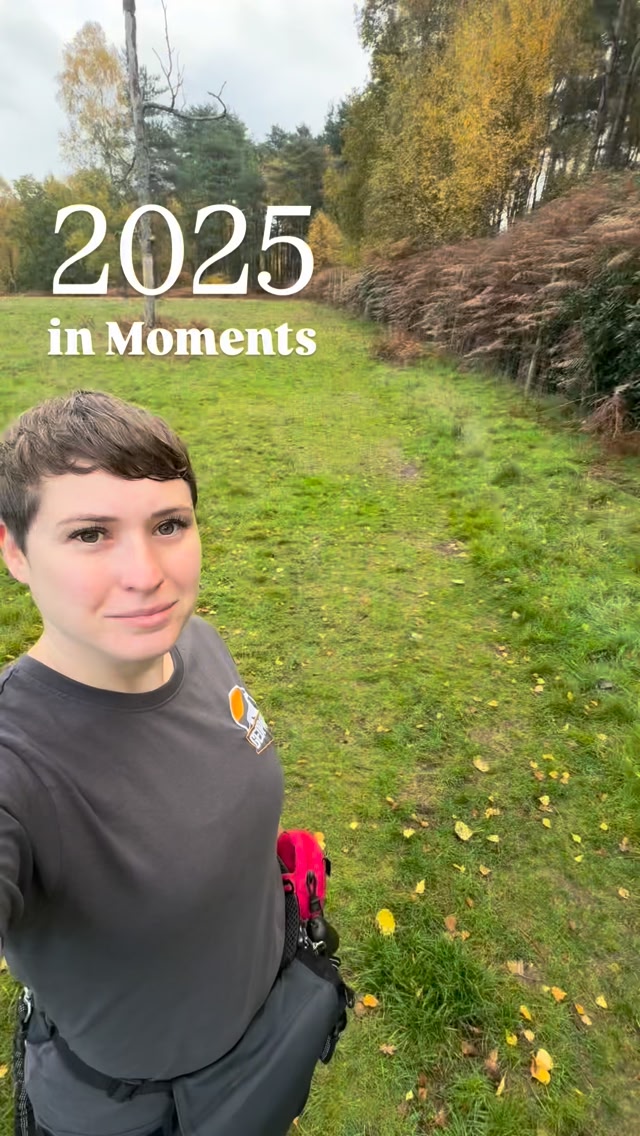 The year everything changed. #dog #change #motivation #explore #viral ...