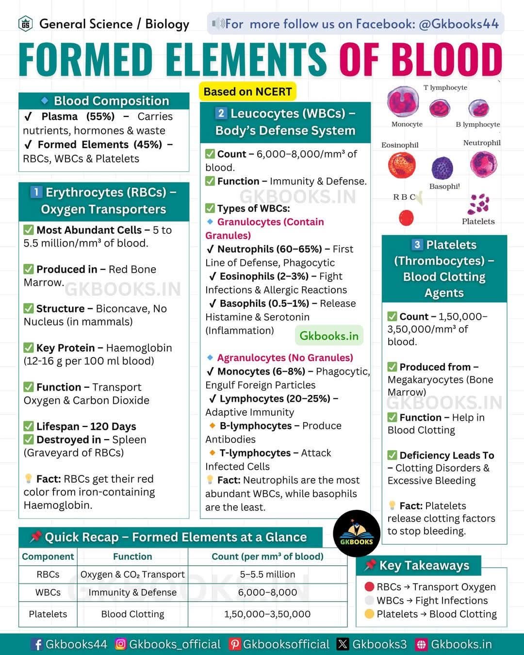 Did you know that blood is composed of 45% formed elements? 🤔 🔴 RBCs ...
