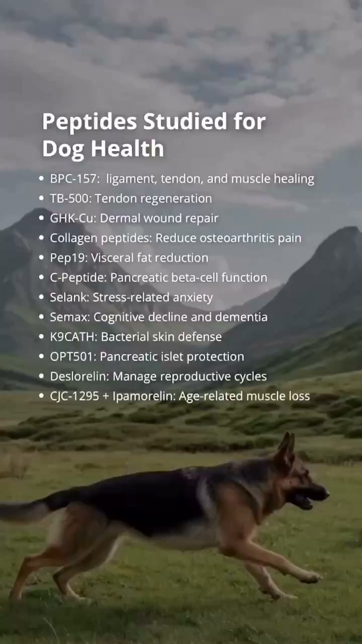 bpc-157 dog study What sets AlphaFlo® apart from PRP and cell-based options? In this video, Christian Beaudry explains the science behind AlphaFlo®, a liquid, acellular canine amniotic tissue allograft cryo What is the Cost
