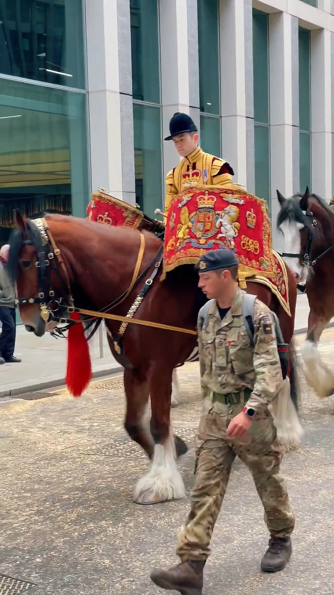 Magnificent Drum Horse Apollo on its way 🥰🐎🇬🇧 #band #lifeguards #Apollo ...