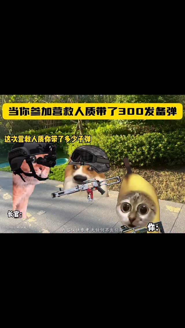 当你参加营救人质带了300发备弹 . . . . #猫meme #00后 #真实还原 #搞笑 #猫meme小剧场 #万万没想到 #内容过于真实 ...