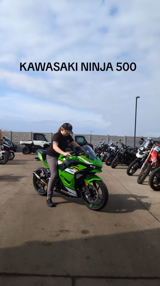 さかい DAY 82: Finally got in a Ninja, what do you want to see next
