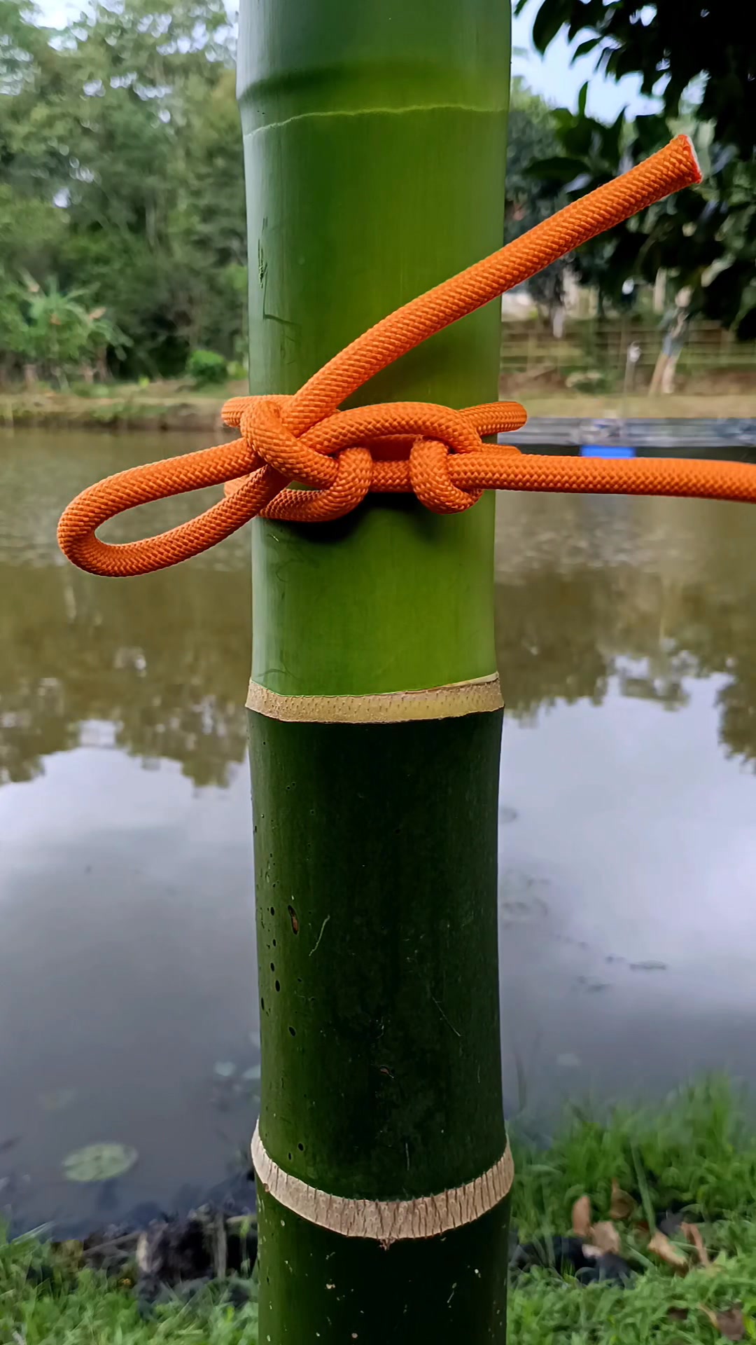 Simple Rope Knots for Daily Use #KnotTutorial #a #rope #HowToTie # ...