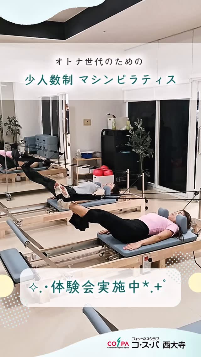 ビジターチケットの販売が始まります(*^▽^*)!! 12月1日(日)より