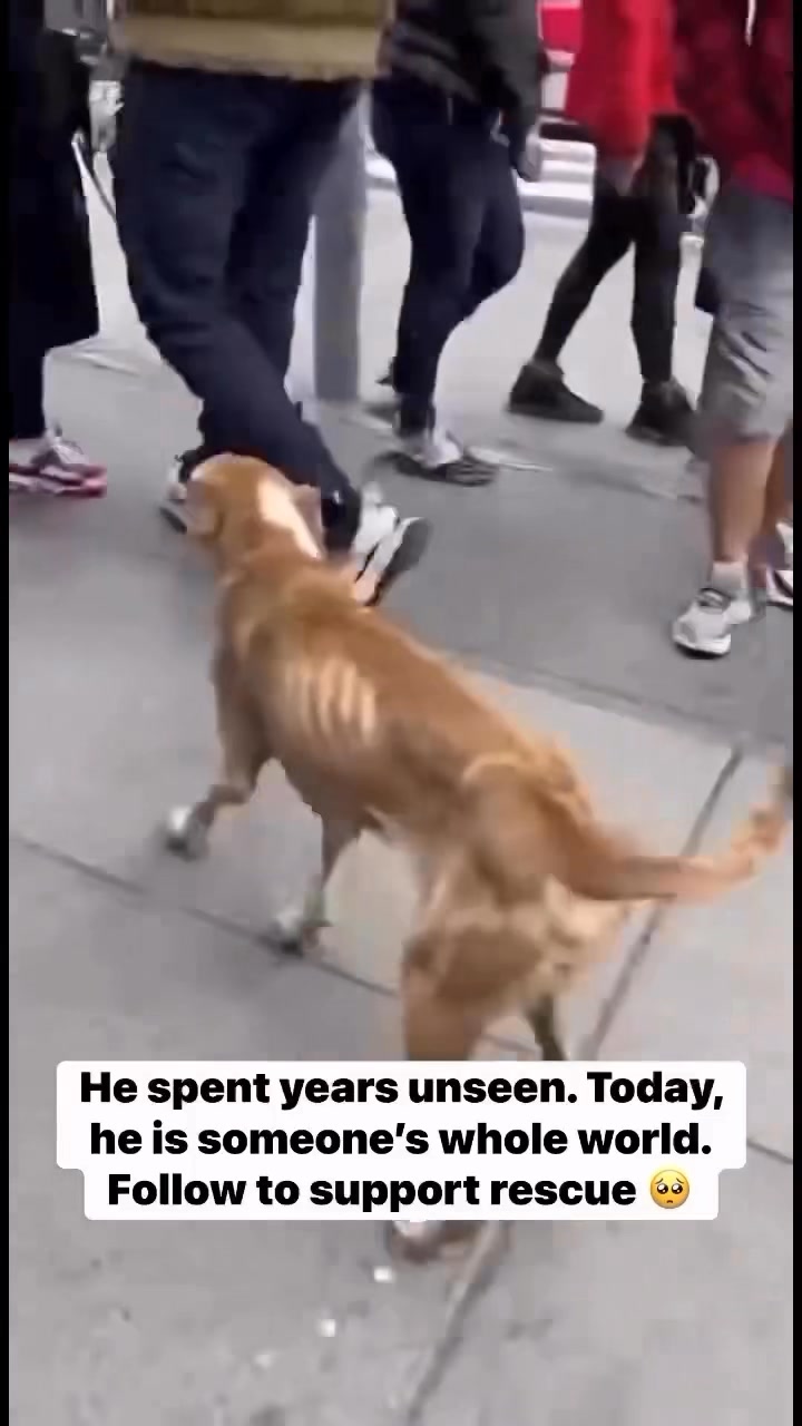 He spent years walking through crowds as a ghost starving, unnoticed ...