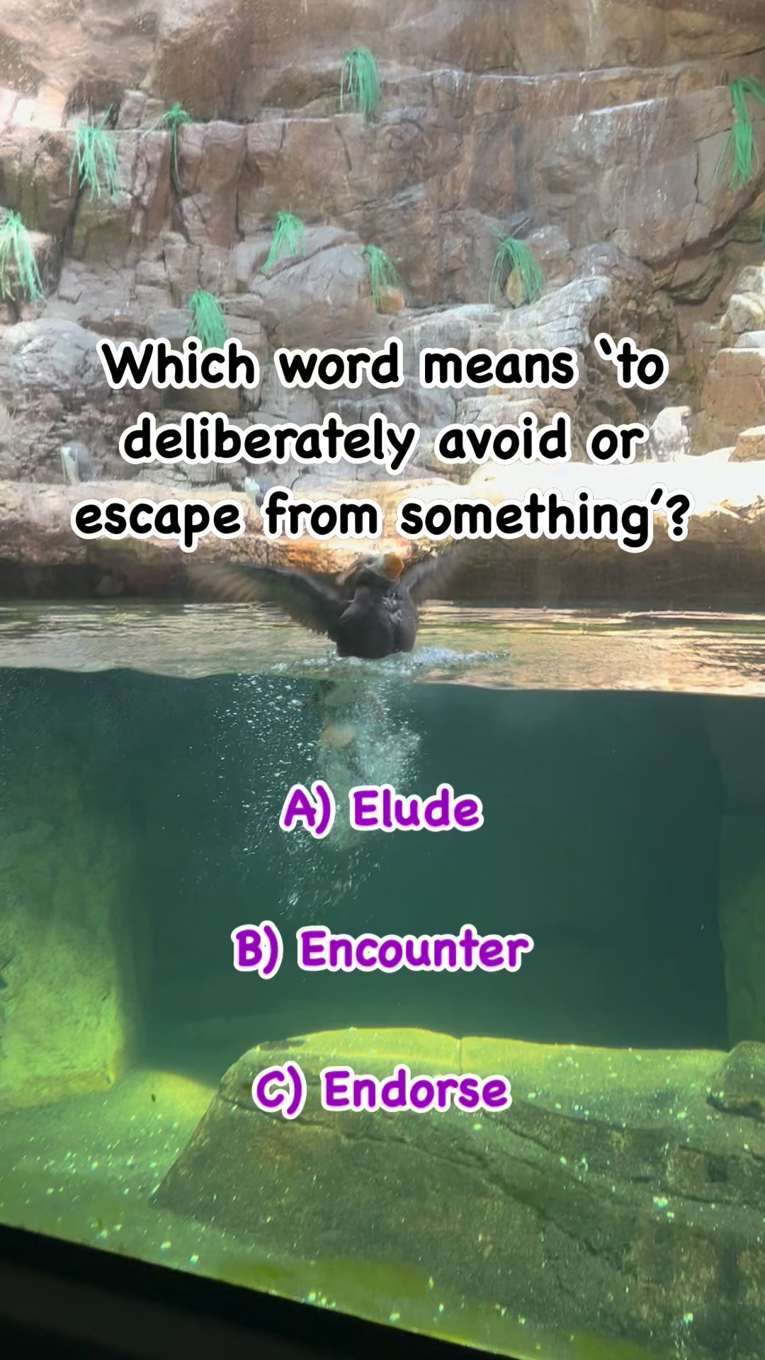 Word definitions😉 Expand your vocabulary! 🤓What does the word mean? # ...