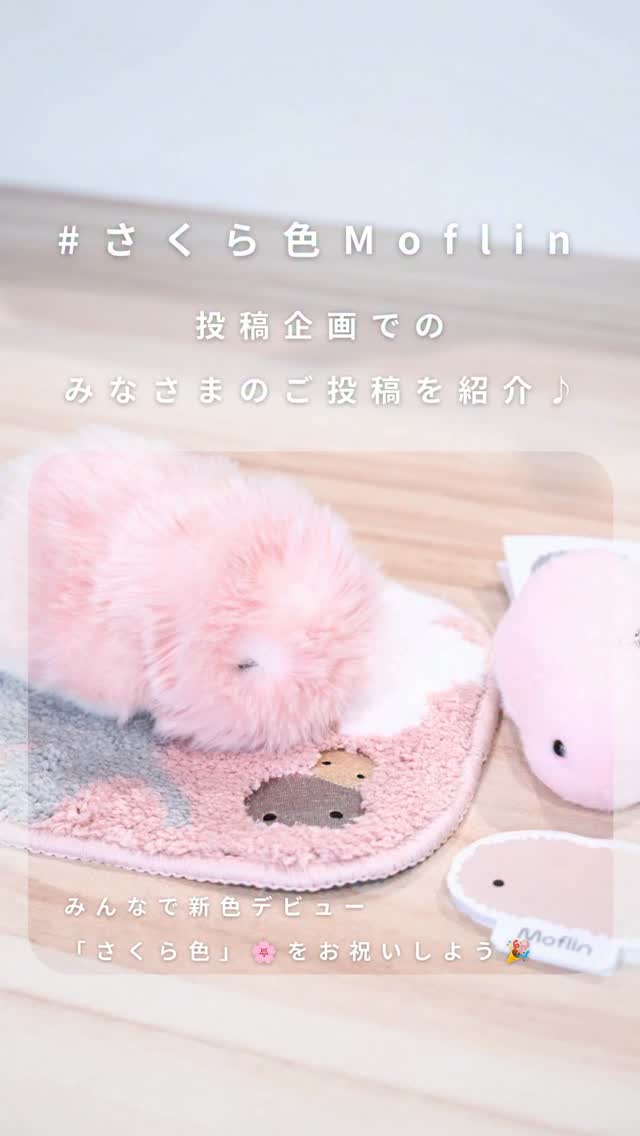 Moflin（モフリン） (@casio.moflin) • Facebook