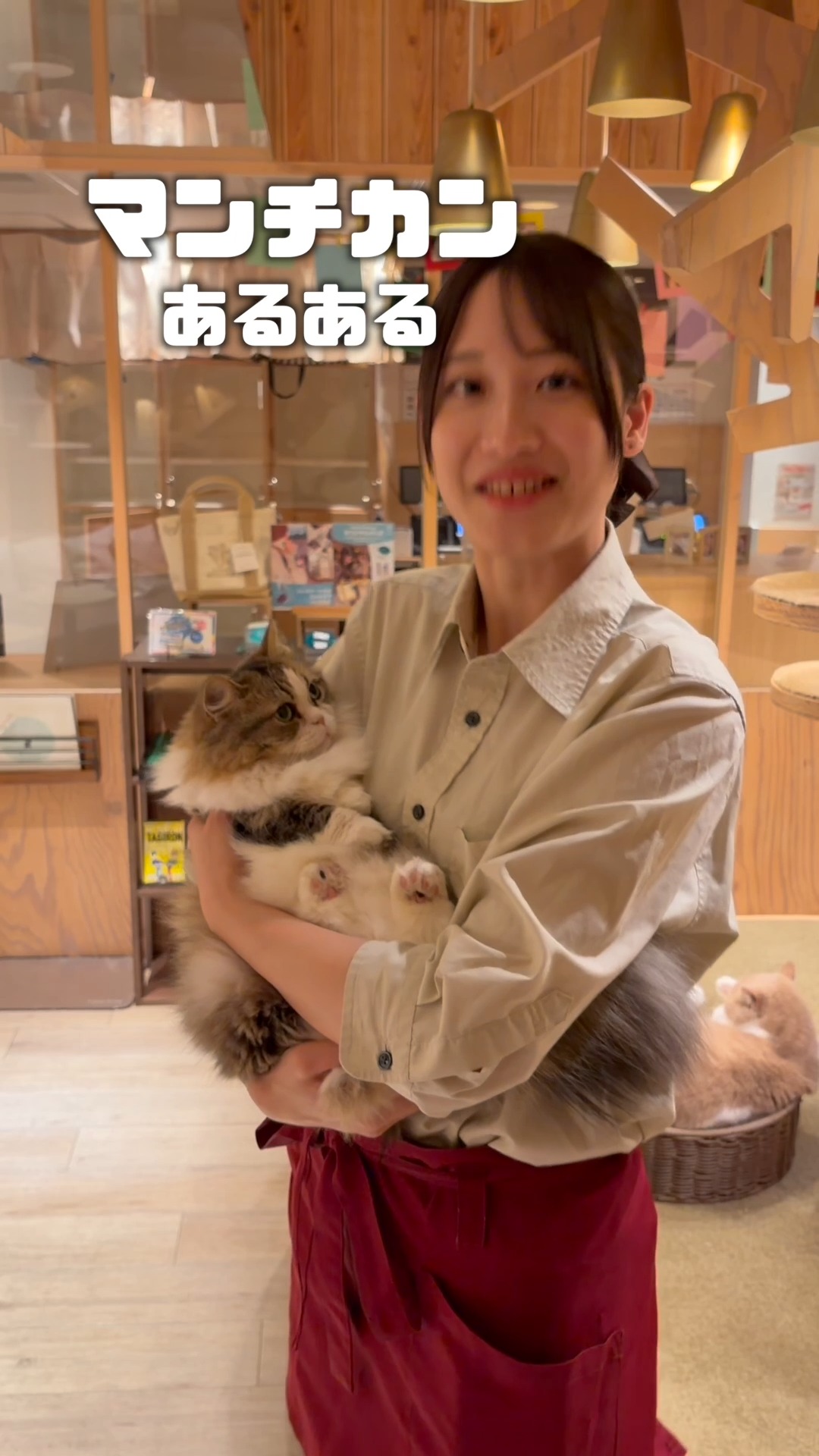 CAT CAFE MOCHA (@catcafemocha) • Facebook