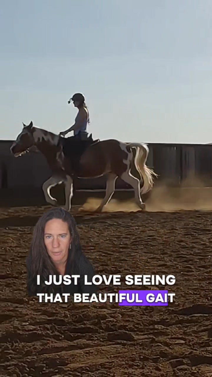Huck is gaiting in just 15 rides!!! He came to me for training to be ...