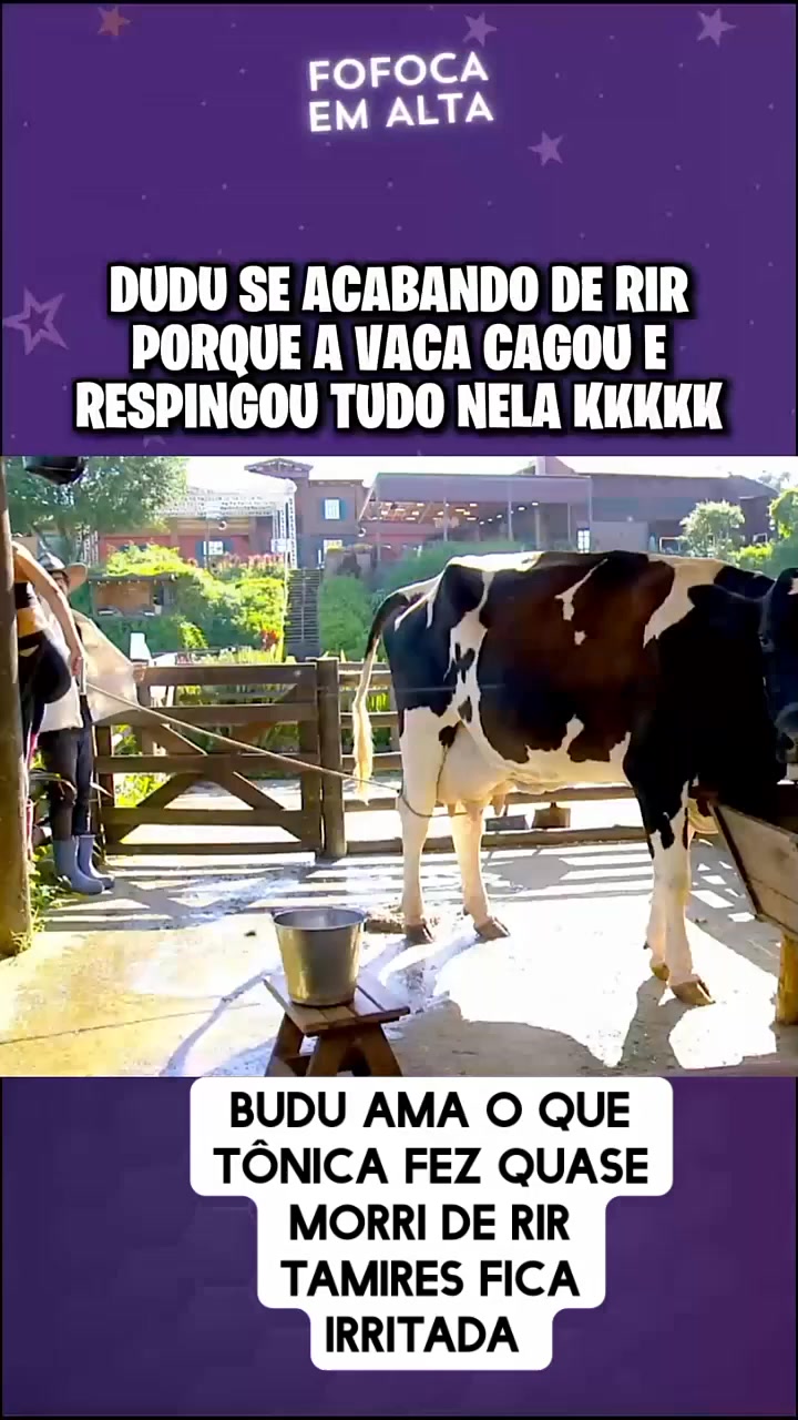 🚨Dudu se acabando de rir porque a vaca cagou na Rayane 🚨😱 #AFazenda17 # ...