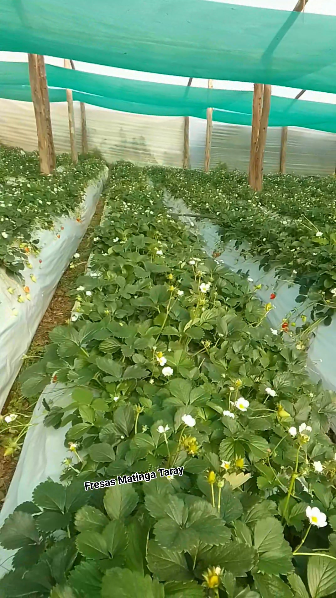 En proceso de recuperación, disfruta el momento en familia , 🥰😇 ...