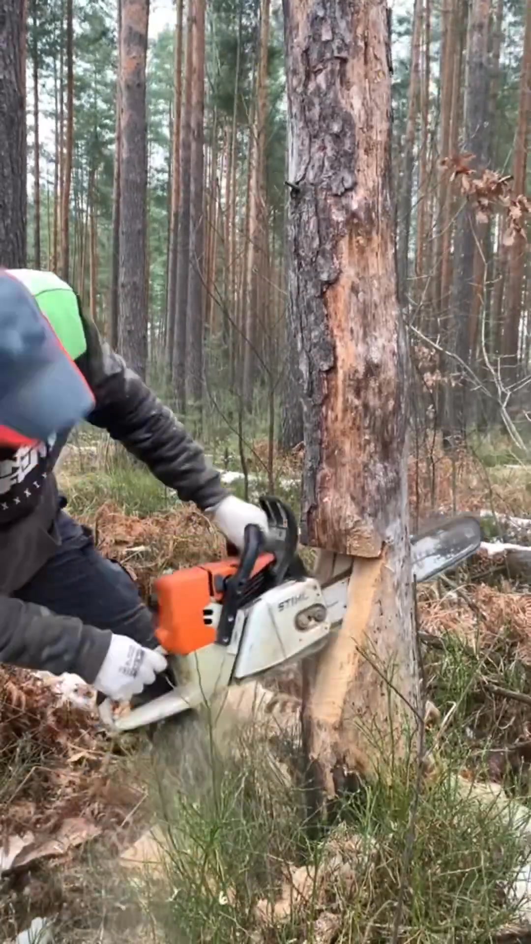 Wood Working On The Tree And Woods And #woodworking #wood #working # ...