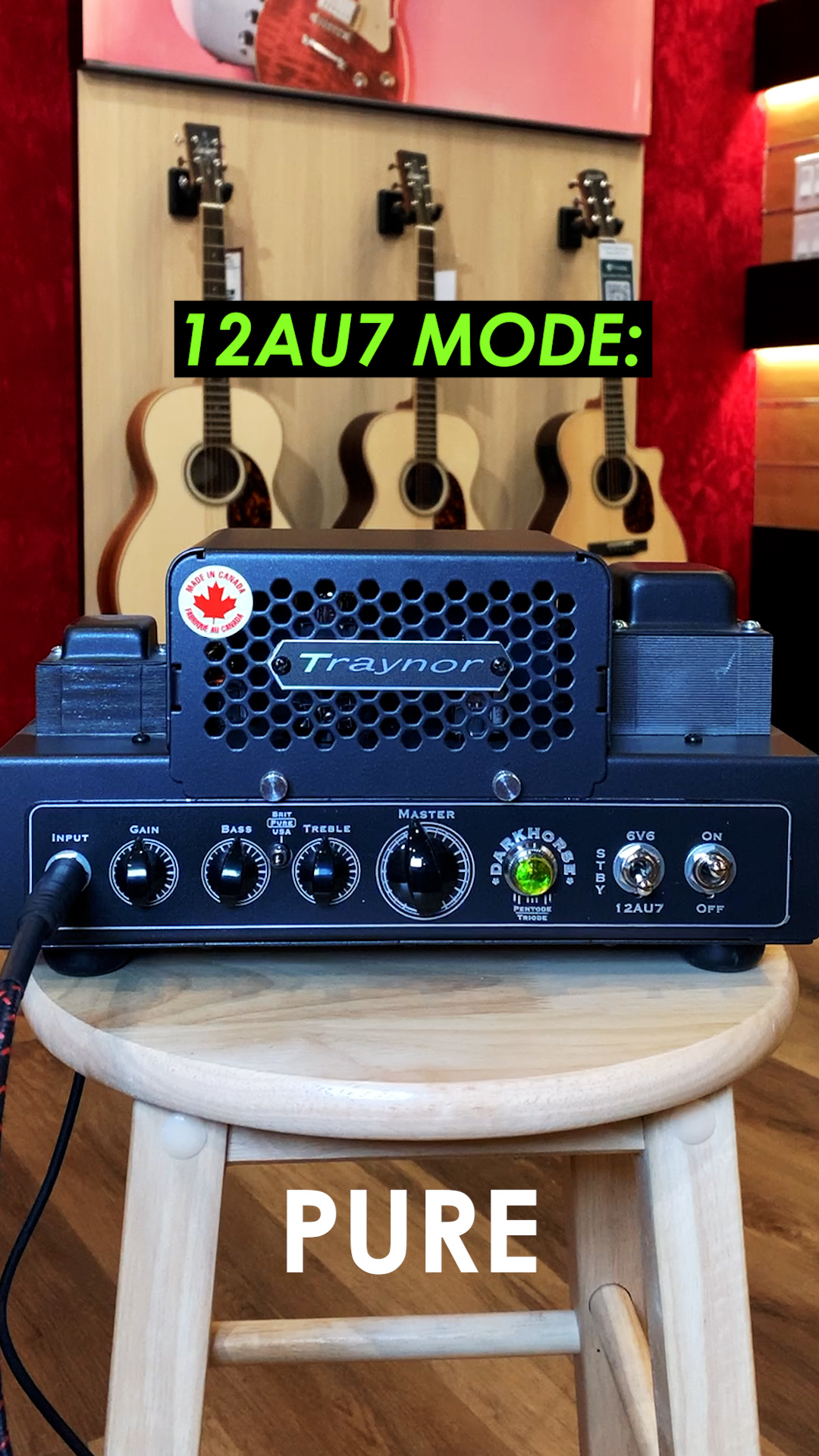 Grab the BLISTERING Traynor Amps DarkHorse 15 Watt All-Tube Guitar