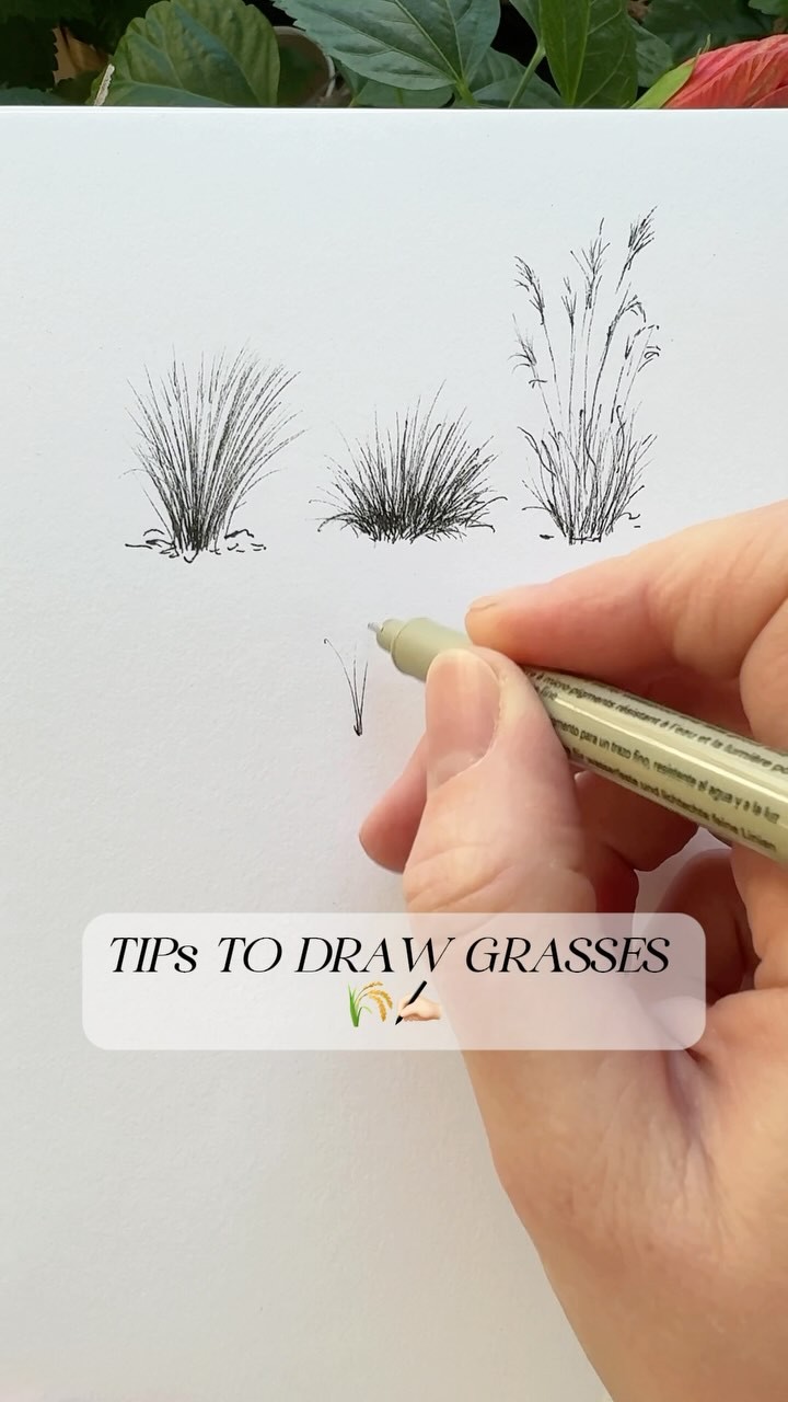 How To Draw Grasses 🌾🌾🌾 🏻 Let me know if these tips are helpful or if ...