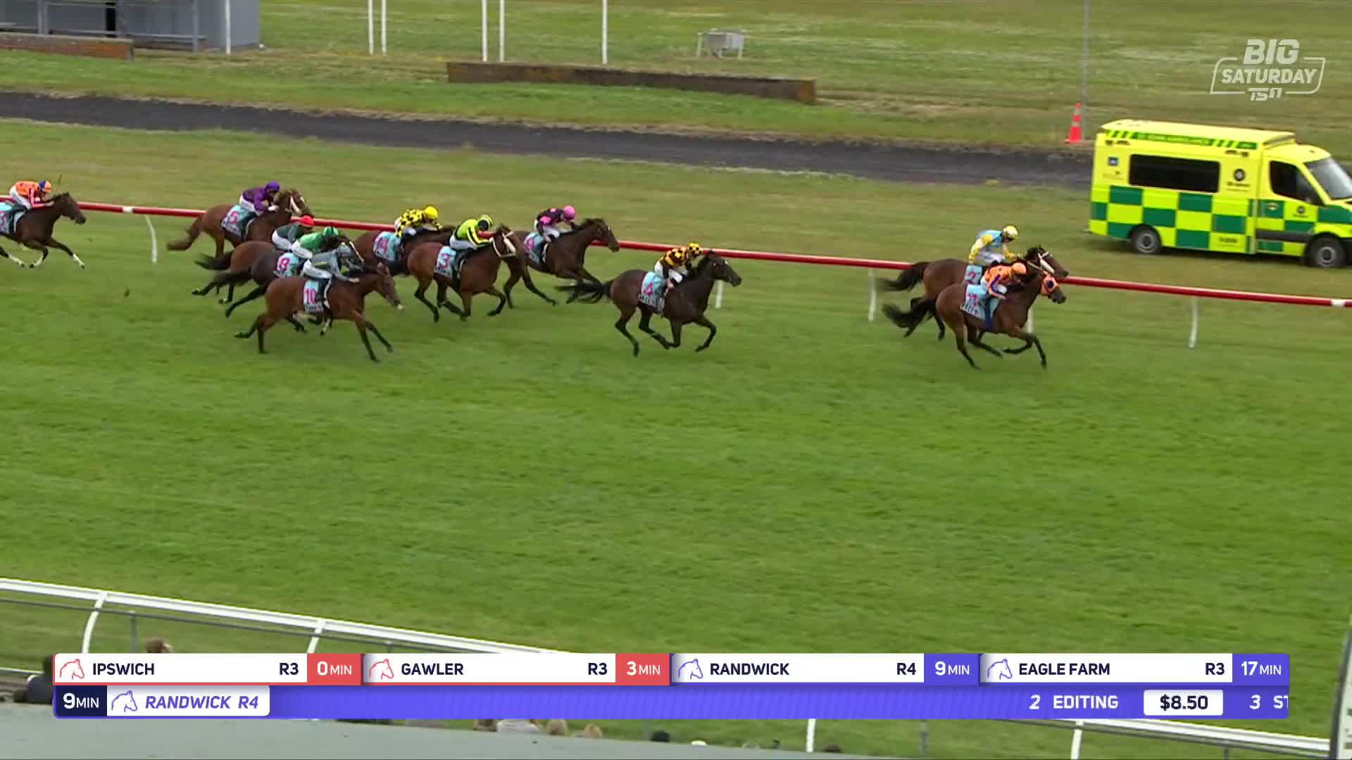 Welcome back La Dorada! Wins the Gr.2 Levin Classic from Trentham RACE ...