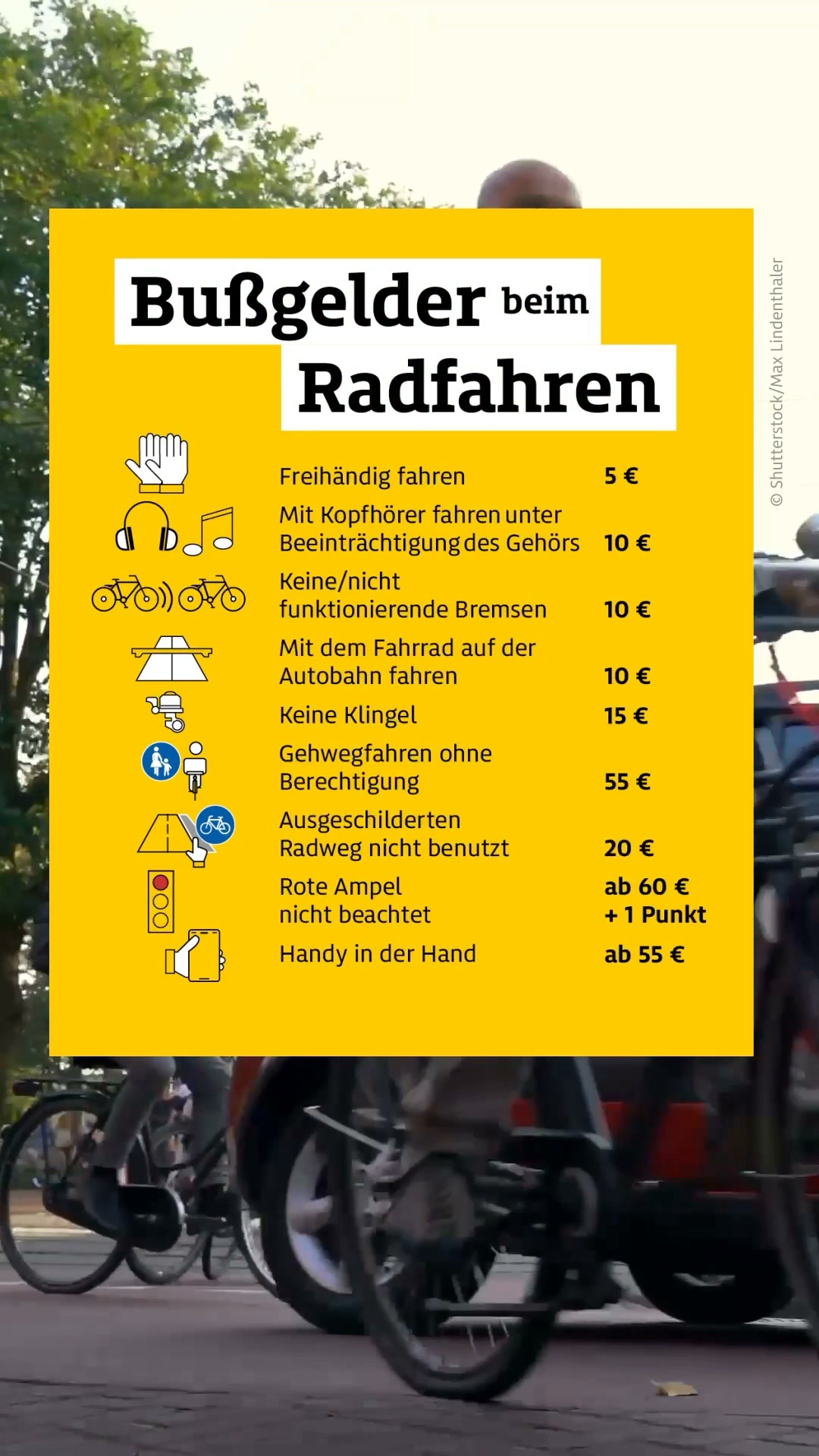e gravel bike fazua Vitus E-Substance Aluminium (2022) – Vitus Bikes Fahrrad 28 Zoll, Gebrauchte PENDANTS Color:Formula Red