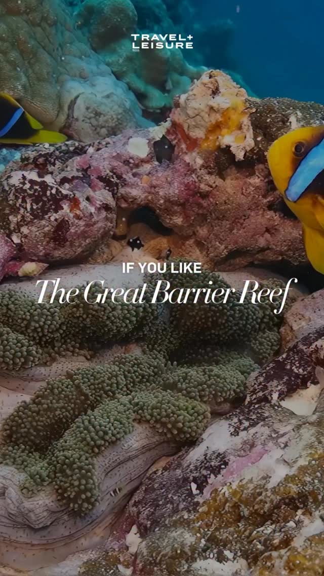 If coral gardens and endless blues are your idea of adventure, here’s a ...