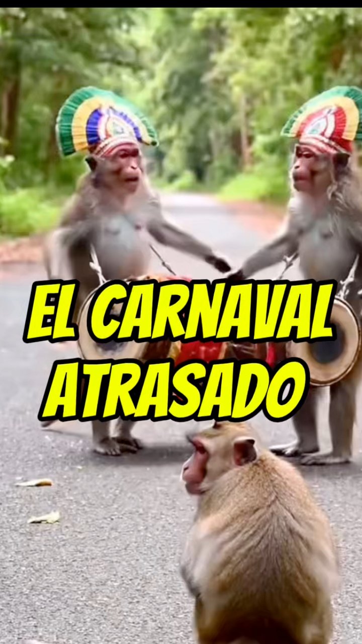 El carnaval atrasado #funny #viral #risas | Loshermanosvergara | Facebook