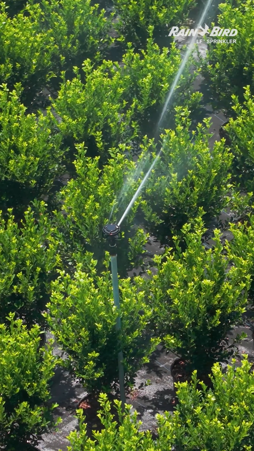 Image result for Low Flow Sprinklers are great for saving water and energy which is ...