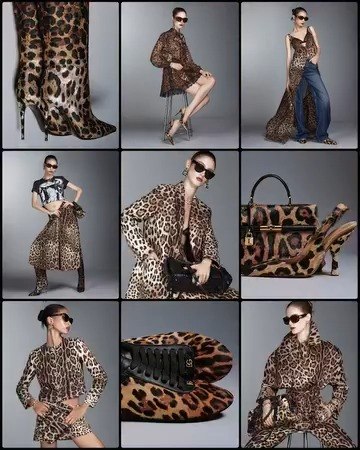 Dolce & Gabbana (@DolceGabbana.Japan) • Facebook