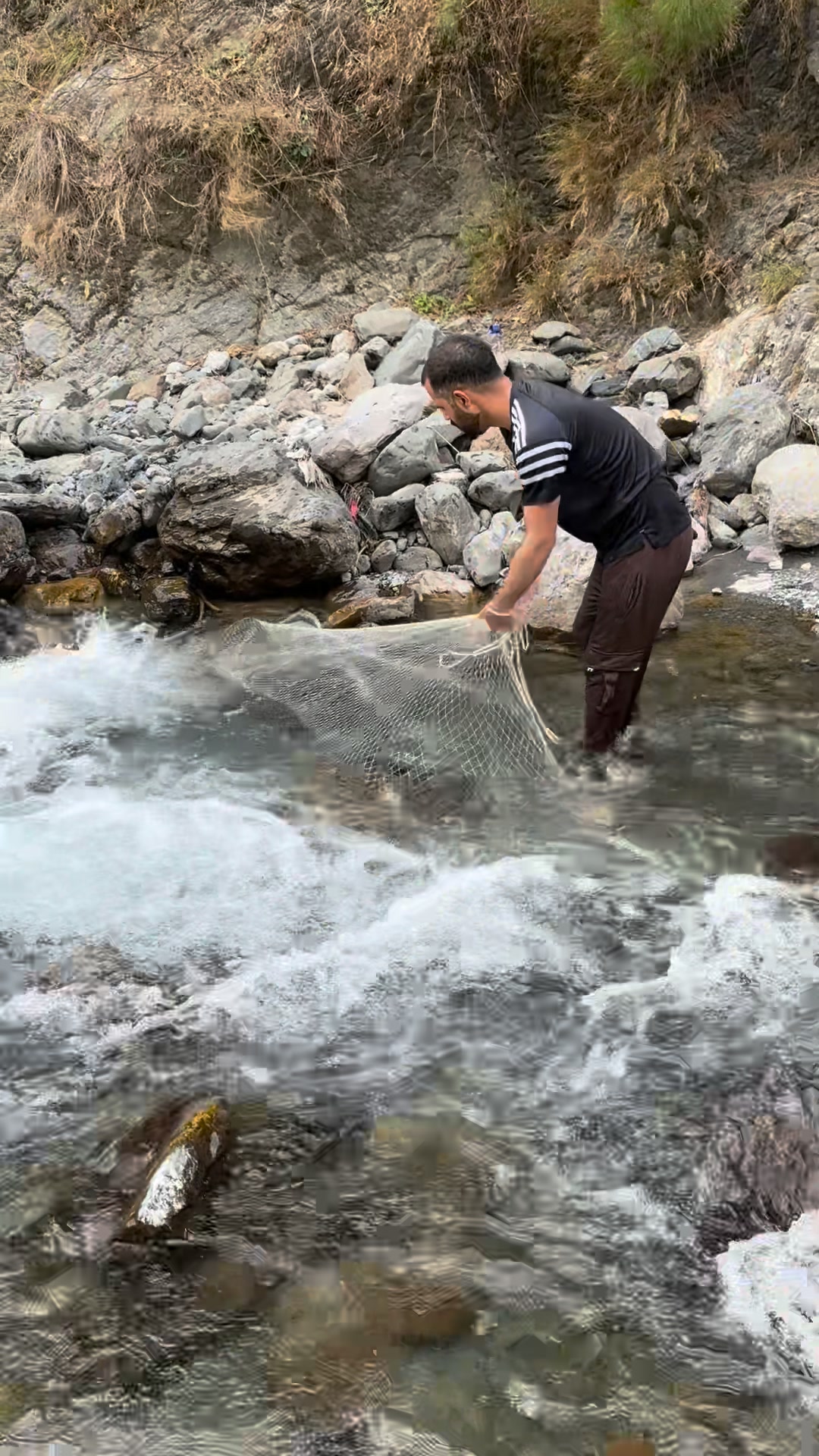 Finding fish in the rocks of fresh water stream wising the net # ...