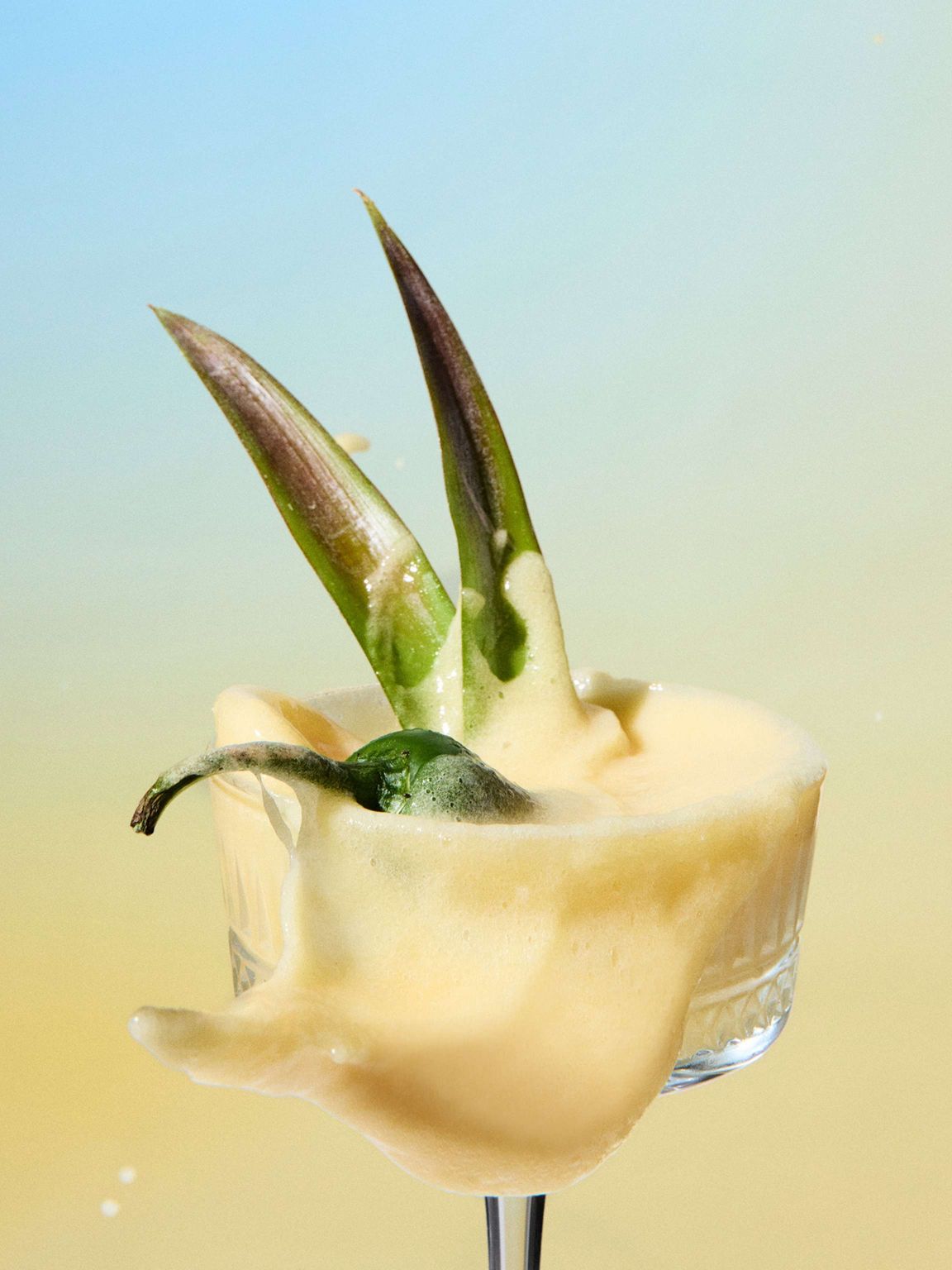 Iced tea with a twist!!! Our Honeybush, Jalapeno and Pineapple Crush ...