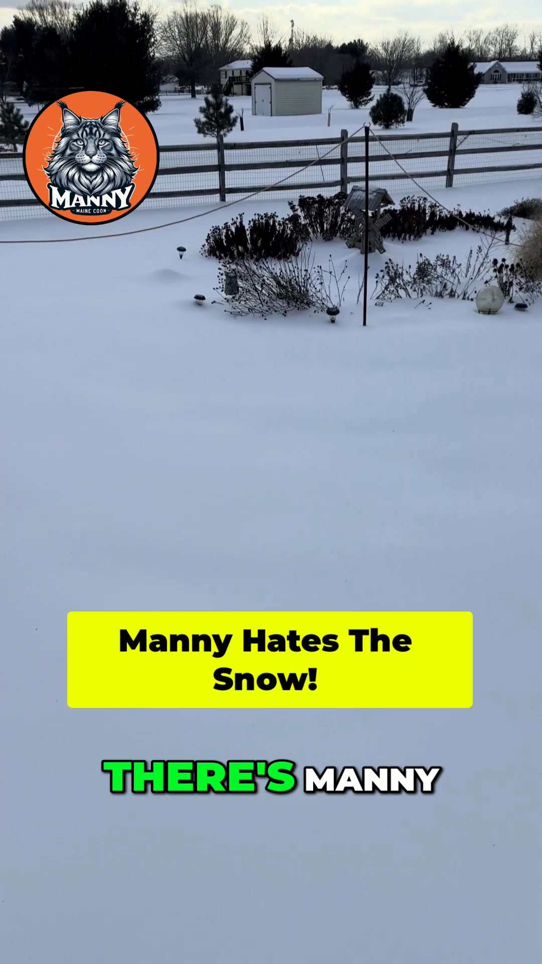 Manny's not a fan of the snow! 😂 Watch what happens when he ventures ...
