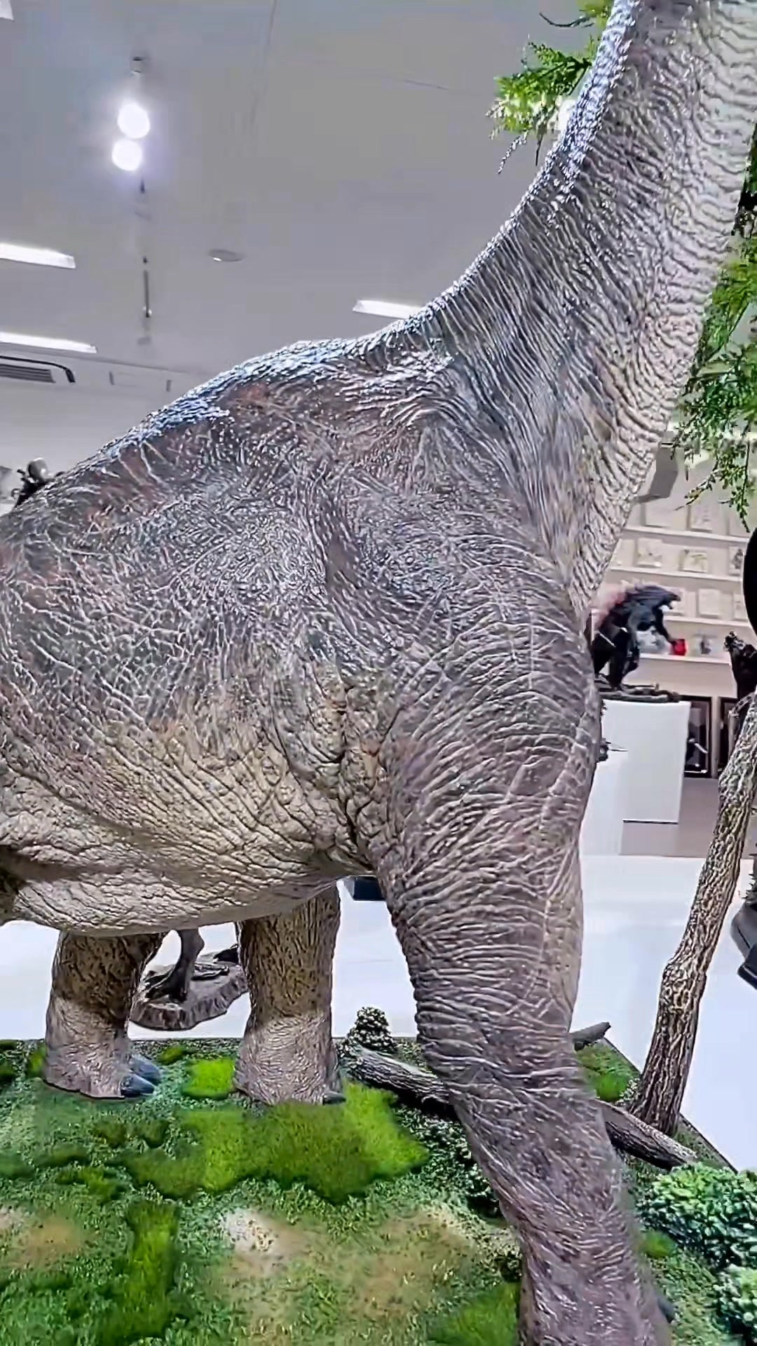 Large Brachiosaurus statue from Prime 1 Studio