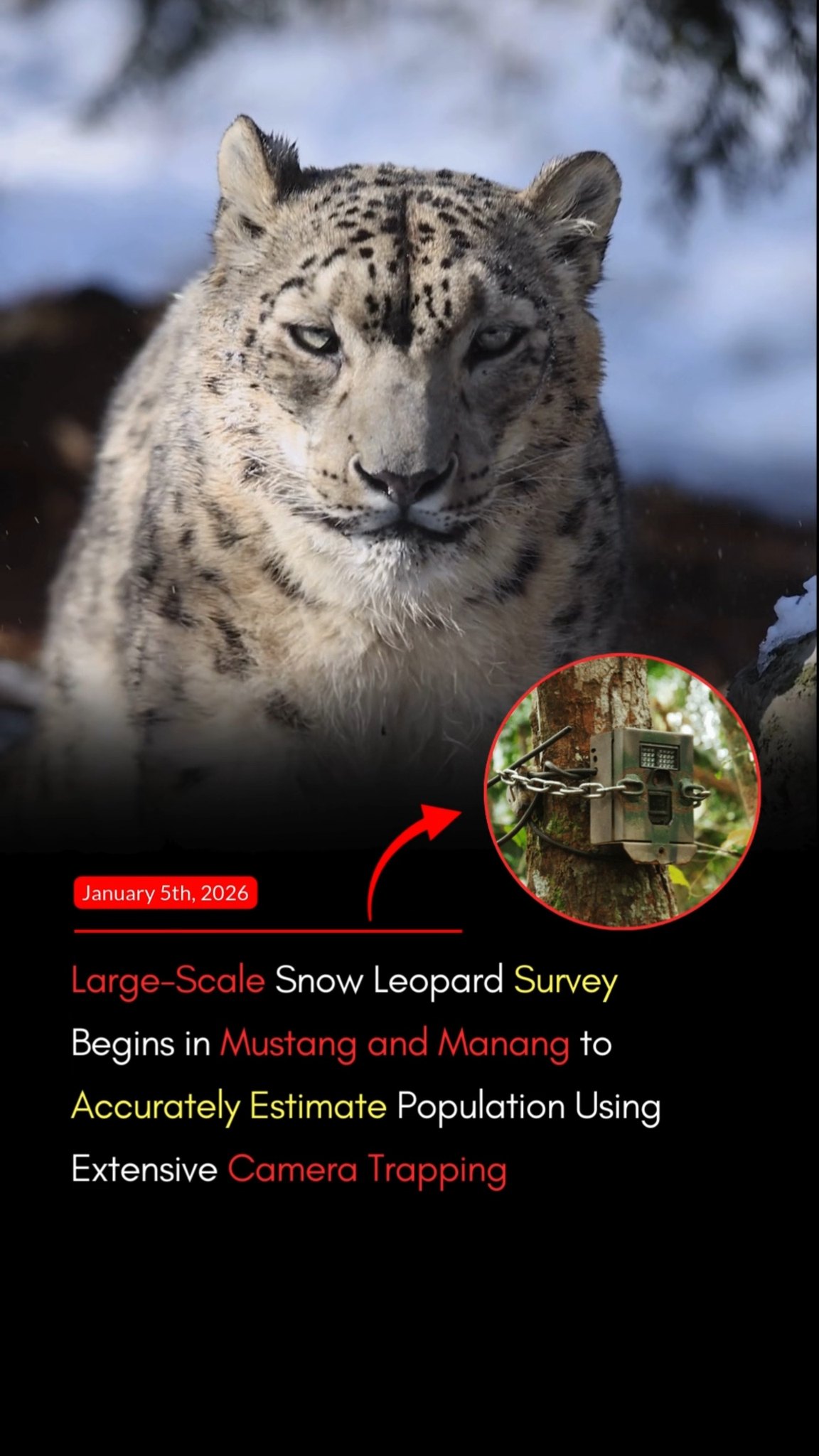 A large-scale survey to determine the accurate population of the ...